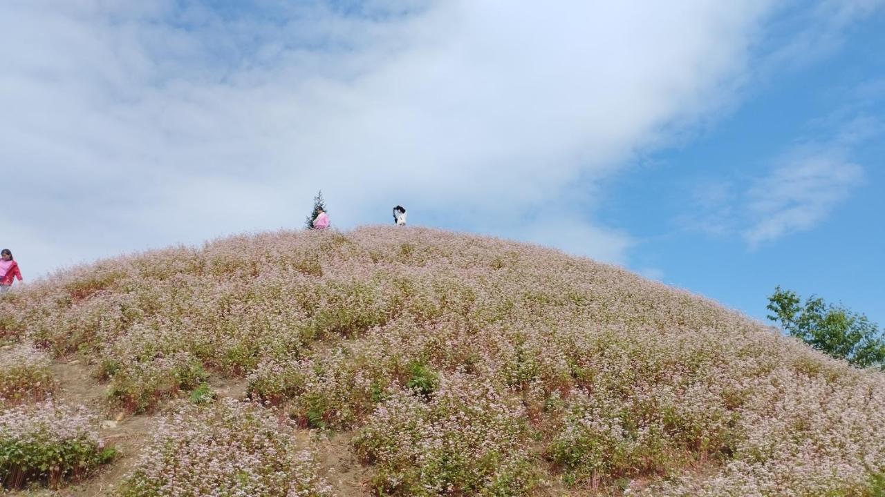 Huy Man Homestay 河江 外观 照片