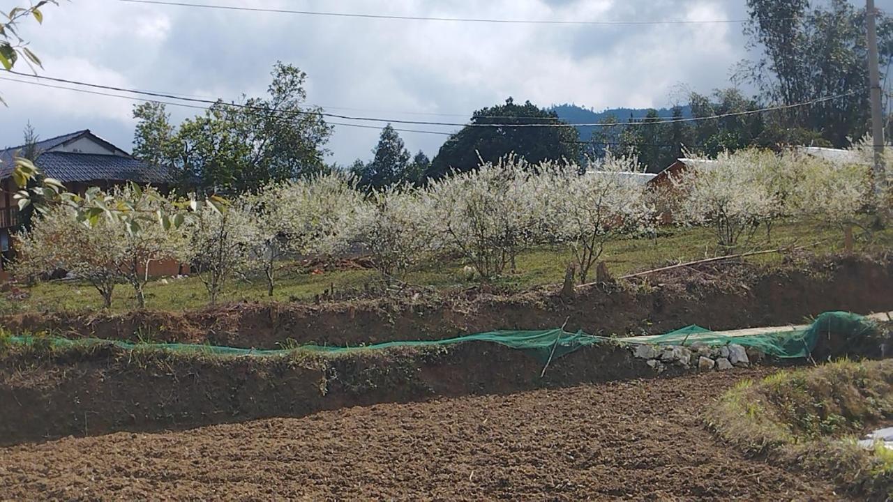 Huy Man Homestay 河江 外观 照片