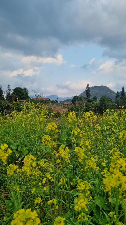 Huy Man Homestay 河江 外观 照片