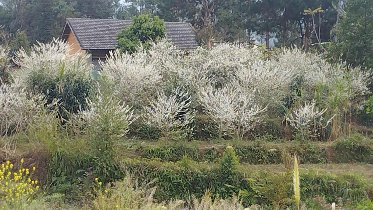 Huy Man Homestay 河江 外观 照片