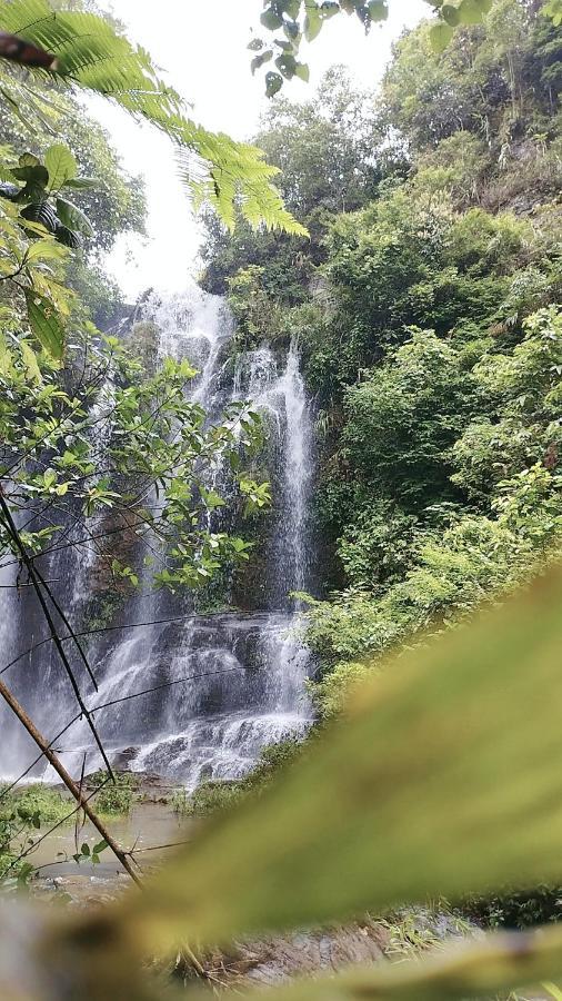 Huy Man Homestay 河江 外观 照片