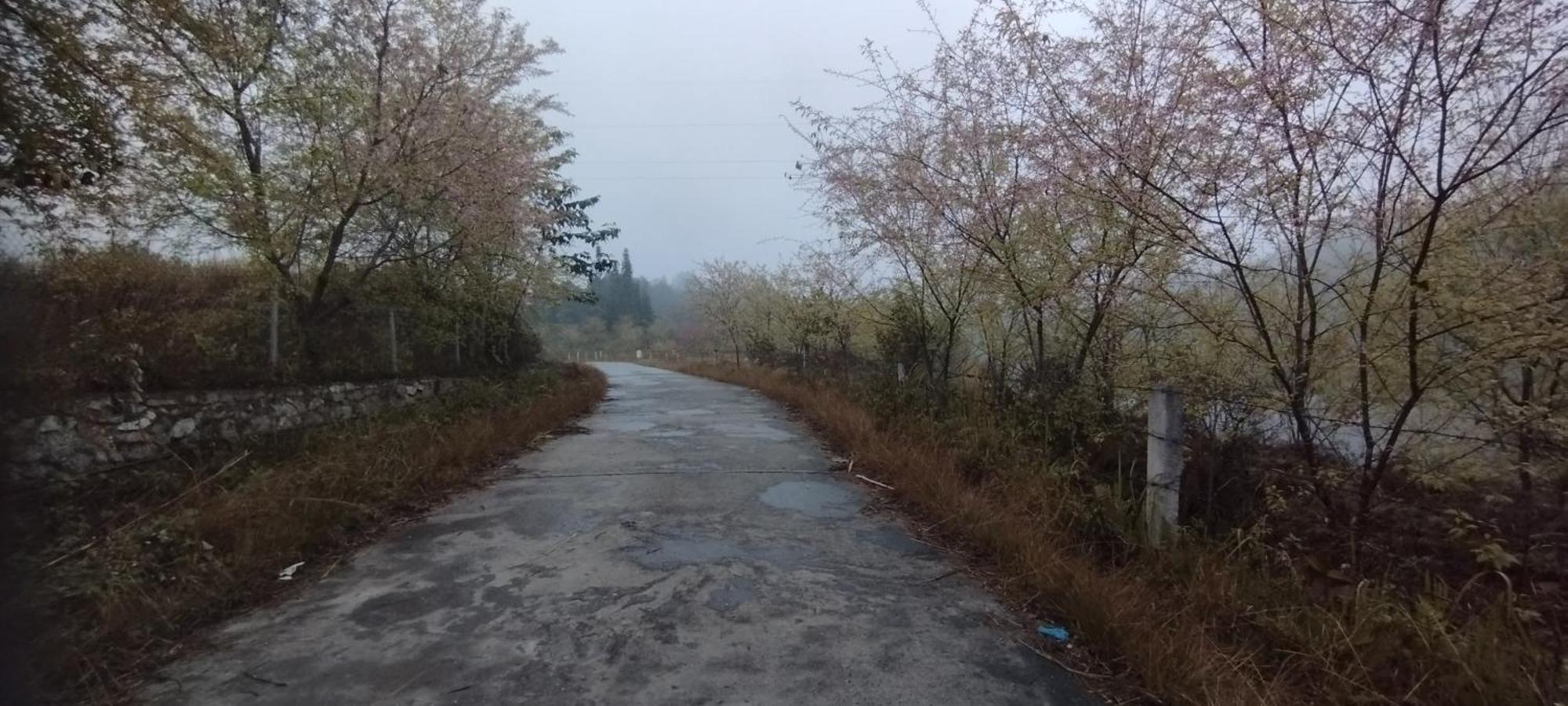 Huy Man Homestay 河江 外观 照片