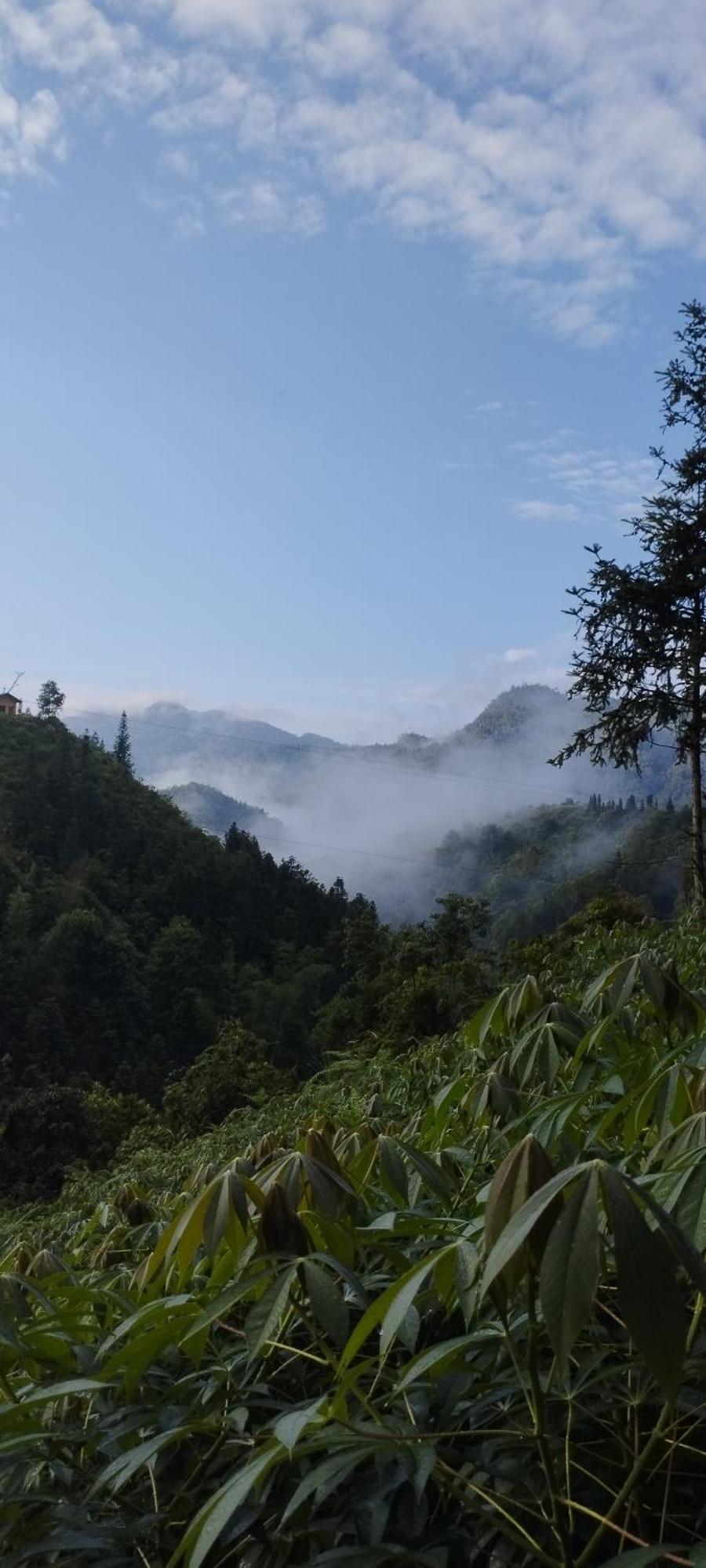 Huy Man Homestay 河江 外观 照片